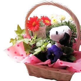 楽天市場 スヌーピー 母の日の通販