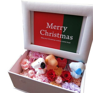 Xk[s[ NX}X  ʐ^ tHgt[ vU[uht[ Jt Xk[s[ς F͂܂ }XRbg3 邩͂y݂Ɂ