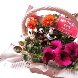 母の日　プレゼント　ディズニー　季節のお花お任せギフト♪　ミッキーマウス　ミニー入り　花鉢　フラワーギフト　鉢植え