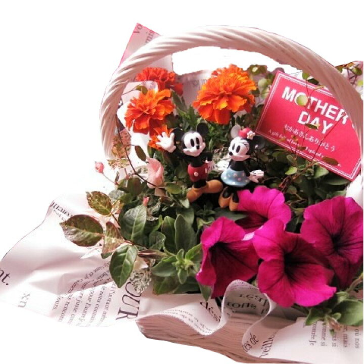 楽天市場 母の日 プレゼント ディズニー 季節のお花お任せギフト ミッキーマウス ミニー入り 花鉢 フラワーギフト 鉢植え フラワーガーデンリーブス