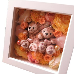 j _btB[ ʂ  vU[uht[ FEIWn Ǌ| _btB[ VF[C