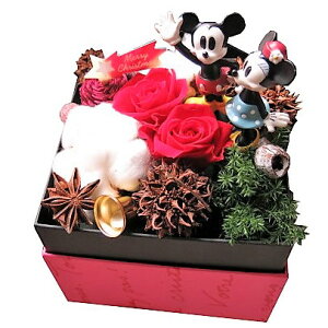 vU[uht[ fBYj[ NX}Xv[g ~bL[ ~j[ ԑMtg JăTvCY {bNX ԃo Rbg