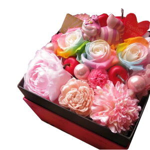 fBYj[ `VL  t[Mtg JăTvCY fBYj[ `VL }XRbg1 {bNX C{[[Y vU[uht[