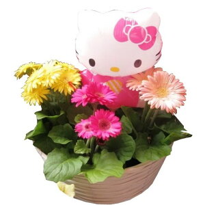 生花 ガーベラ 母の日の人気商品 通販 価格比較 価格 Com