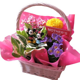 母の日　フラワーギフト　ディズニー　季節のお花お任せギフト♪　ミッキーマウス　ミニー入り　花鉢　プレゼント　鉢植え