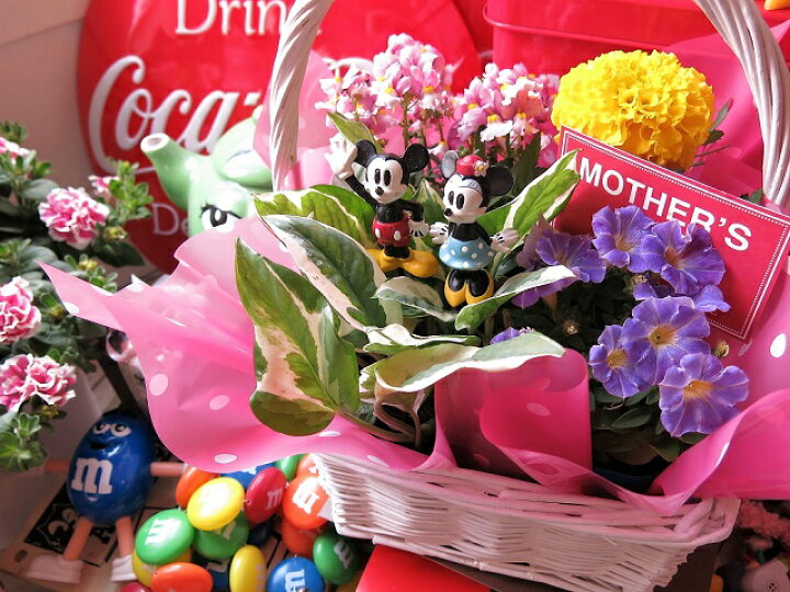 楽天市場 母の日 ディズニー フラワーギフト 季節のお花お任せギフト ミッキーマウス ミニー入り 母の日 花鉢 プレゼント 鉢植え フラワーガーデンリーブス