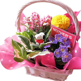 母の日 ギフト 鉢植え スヌーピーハート 季節のお花お任せギフト スヌーピー入り 母の日 花鉢 プレゼント