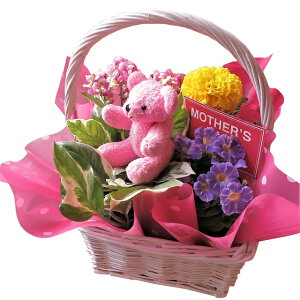 母の日 プレゼント ピンク くまちゃん 鉢植えギフト フラワーギフト お花はデザイナーにおまかせ ◆大切なあの人を笑顔にしちゃう魔法のフラワーギフト♪