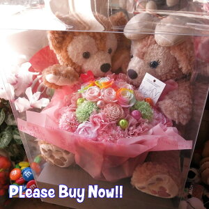 ダッフィー シェリーメイ ぬいぐるみ 花 ダッフィーがお花を抱えた サプライズ ダッフィー レインボーローズ プリザーブドフラワー入り ケース付き 大切なあの人を笑顔にしちゃう魔法のフ