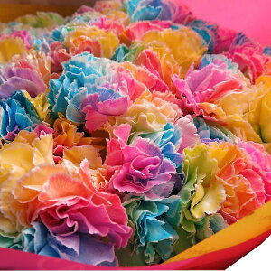 母の日　プレゼント　レインボーカーネーション　50本花束　◆母の日ギフト限定品