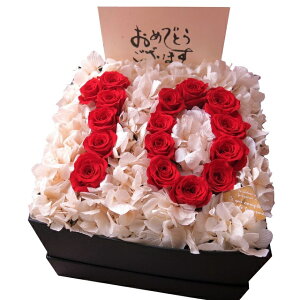 LOv[g  10N j LO  Mtg ͂Ȃ vU[uht[ 10 ԑ ԃo P[Xt ]łv܂