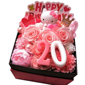 20N 20 LO j LeB  20 t[Mtg JăTvCY LeB}XRbg t[{bNX vU[uht[Mtg LeB͂܂