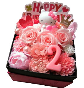 y2N j 2 2 LOzj LeB  2 t[Mtg JăTvCY LeB}XRbg t[{bNX vU[uht[Mtg LeB