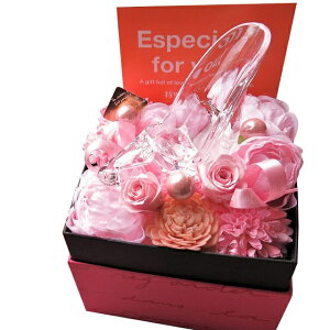 j v[g KX̌C TvCY ԑ NA[P[Xt vU[uht[Mtg lC ޏ Fl  FB