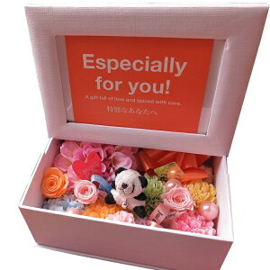 av[g p_  ʐ^ tHgt[ vU[uht[