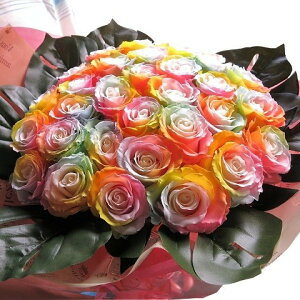 C{[[Y vU[uht[ ԑ 20{gp vU[uht[ ԑ ͂ꂸɂ܂łLCȃC{[[Y av[gEljELȎ蕨ɂ