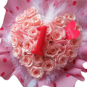 yz 1N 1 LOzn[g ԑ Mtg 1 NA[P[Xt sN ~jogp ͂Ȃ vU[uht[