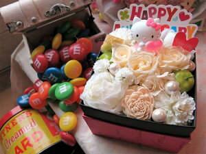 yz LeB ԁzLO LeB ԑ t[{bNX JăTvCY@͂ȂvU[uht[@zCgn