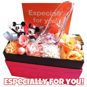 �v���|�[�Y �ޏ� �K���X�̌C �~�b�L�[ �~�j�[ �v���U�[�u�h�t�����[����M�t�g �ԑ��� �����J���ăT�v���C�Y �����{�b�N�X