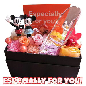 �v���|�[�Y �ޏ� �K���X�̌C �~�b�L�[ �~�j�[ �v���U�[�u�h�t�����[����M�t�g �ԑ��� �����J���ăT�v���C�Y �����{�b�N�X