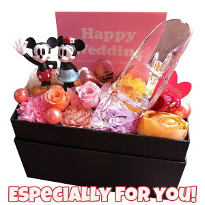 j v[g Fl FB KX̌C ~bL[ ~j[ vU[uht[Mtg ԑ JăTvCY {bNX