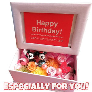 fBYj[ vU[uht[ ʐ^ ~bL[ ~j[ tHgt[ ͂Ȃ ԑ Mtg av[g ޏ l