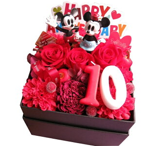 vU[uht[ LO 10N v[g fBYj[ LO 10 ԃo ԑ Mtg JăTvCY ~bL[ ~j[  t[{bNX]