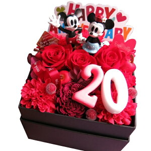 vU[uht[ LO 20N j v[g fBYj[ ~bL[ ~j[ 20 ԃo ԑ Mtg JăTvCY t[{bNX ]ł