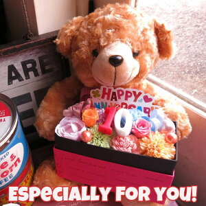 LO 10N j LO xA[ ʂ 10 ] ԑ t[Mtg JăTvCYLh {bNX vU[uht[Mtg 