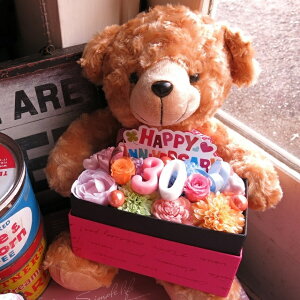 LO 30N j LO xA[ ʂ 30 ] ԑ t[Mtg JăTvCYLh {bNX vU[uht[Mtg 