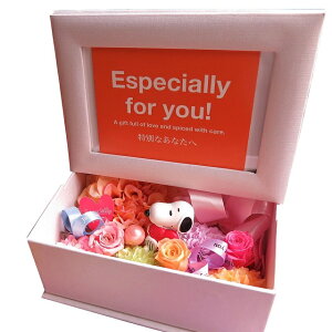 v|[Y ޏ z Xk[s[n[g  ʐ^ tHgt[ vU[uht[@n[gXk[s[