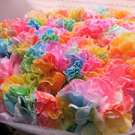 母の日　プレゼント　レインボーカーネーション　10本花束　◆母の日ギフト限定品