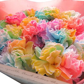 母の日 プレゼント レインボーカーネーション 10本花束 ◆母の日ギフト限定品