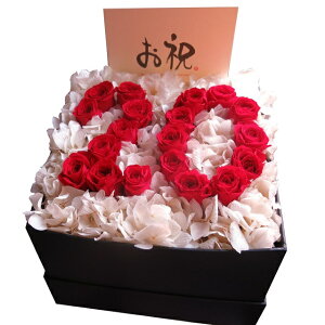 LO   20N j LO  Mtg ͂Ȃ vU[uht[ 20 ԑ ԃo P[Xt ]łv܂