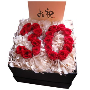 LO   30N j LO  Mtg ͂Ȃ vU[uht[ 30 ԑ ԃo P[Xt ]łv܂