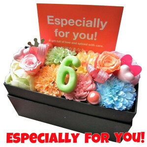 LO v[g   6N j 6 ] ԑ Mtg ]łv܂ {bNX vU[uht[Mtg ܂Jtdグ