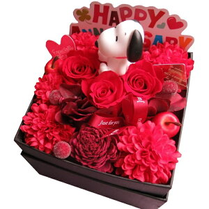 av[g Xk[s[  v[g JăTvCY Xk[s[}XRbg {bNXt[ vU[uht[ Ԍn Xk[s[}XRbgJ[͂CƂȂ