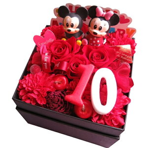 vU[uht[ LO 10N v[g j LO 10 ԃo ԑ Mtg JăTvCY fBYj[LN^[܂}XRbg2 {bN