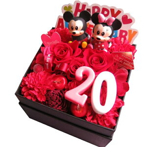 vU[uht[ fBYj[ l lj 20 j LO 20 ԃo ԑ Mtg JăTvCY fBYj[LN^[܂}XRbg2 {b