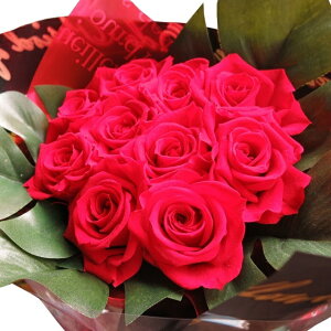 v|[Y 10{ ԃo LO 10N ԑ@vU[uht[@ԃo@ԑ@ԃo10{gp@vU[uht[@ց@ԑ@͂ꂸɂ܂łLCȐԃo