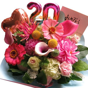 lj v[g a   q j 20 20N Nj 20N LO  t[AWg o[ ܂ňS fUCi[ɂԂ͂܂ Ԏgp TCYM 