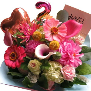 LO t[Mtg 2N Nj LO   v[g  t[AWg o[ ܂ňS fUCi[ɂԂ͂܂ Ԏgp TCYM