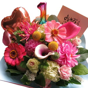 LO 1N Nj LO   ޏ l   v[g  t[AWg o[ ܂ňS fUCi[ɂԂ͂܂ Ԏgp TCYM