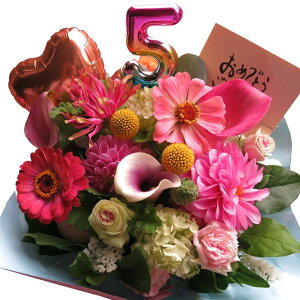 LO  v[g 5N Nj LO ޏ  l   t[AWg o[ ܂ňS fUCi[ɂԂ͂܂ Ԏgp TCYM ʌ