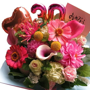 ^썥 v[g  LO 30N Nj 30N ^썥 vw e    t[AWg o[ ܂ňS fUCi[ɂԂ͂܂ Ԏgp T