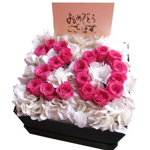 LO   20N j LO  Mtg ͂Ȃ vU[uht[ 20 ԑ sNo P[Xt ]łv܂