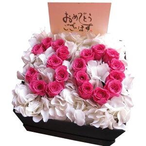 LO   30N j LO  Mtg ͂Ȃ vU[uht[ 30 ԑ sNo P[Xt ]łv܂