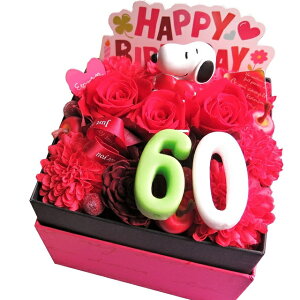 yҗj ԃo 60 j LOzXk[s[n[g 60 ԑ JăTvCY Xk[s[ t[{bNX vU[uht[ Ԍn ]i