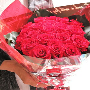 vU[uht[ ԑ ԃo l̓ ԃo20{gp ͂ꂸɂ܂łLCȐԃo@av[gEҗjELȎ蕨ɂ߂̃t[Mtg