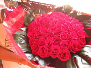 v|[Y ԃo 33{ Ԍtu܂ςĂMvvU[uht[ ԑ LO 33{gp vU[uht[ ԑ@͂ꂸɂ܂łLCȐԃo@v|[